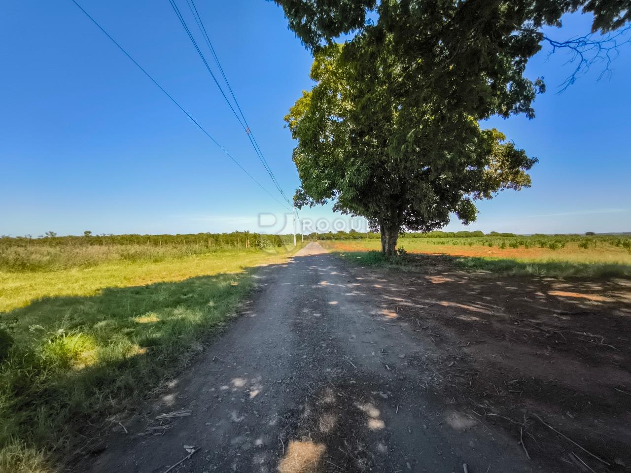 Área à venda no bairro Ribeirão do Pinhal: 