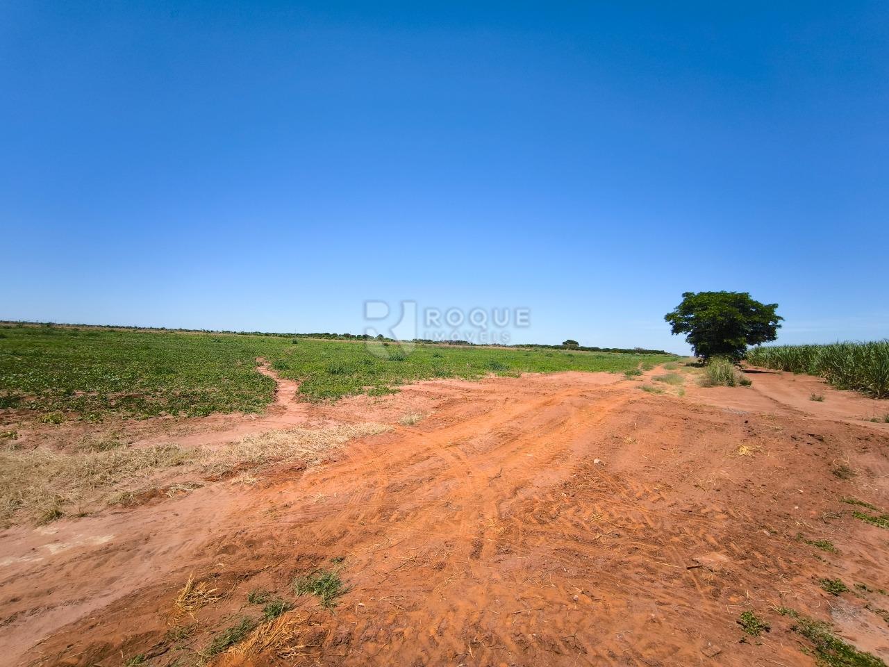 Área à venda no bairro Ribeirão do Pinhal: 