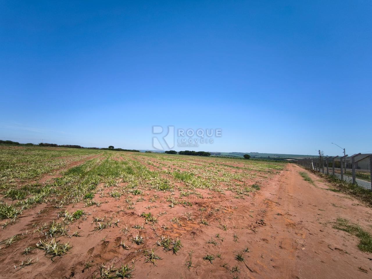 Área à venda no bairro Ribeirão do Pinhal: 