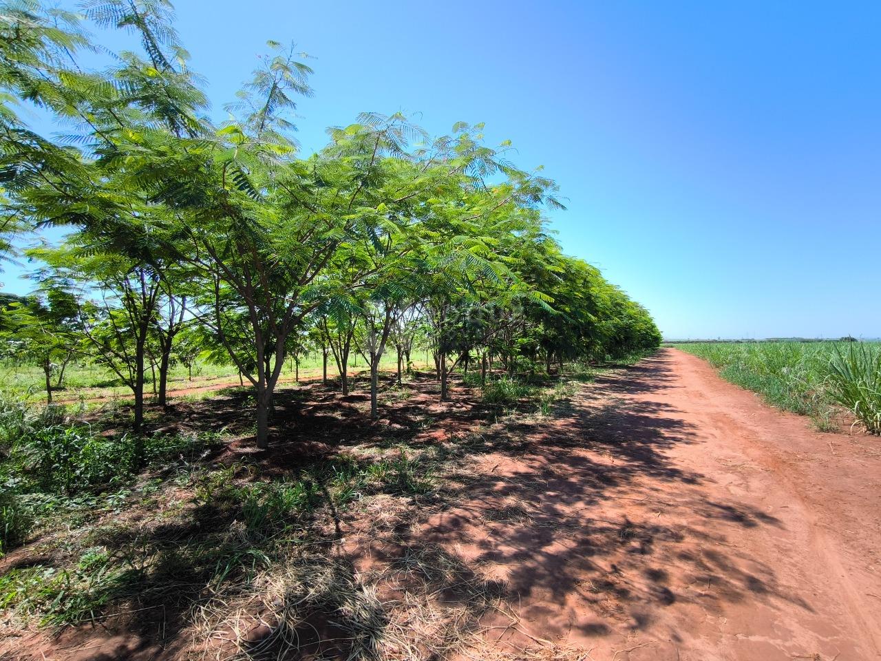 Área à venda no bairro Ribeirão do Pinhal: 