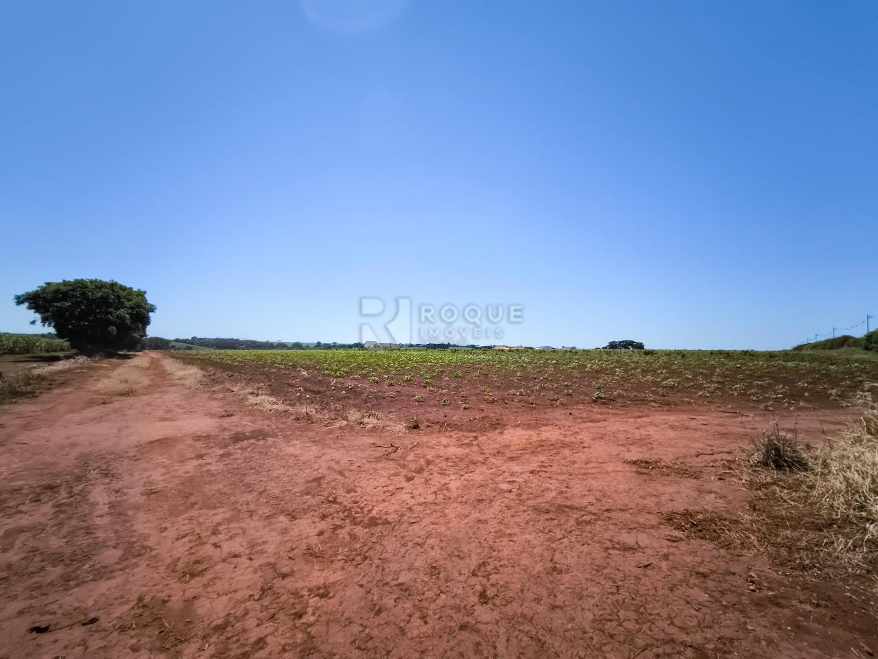 Área à venda no bairro Ribeirão do Pinhal: 