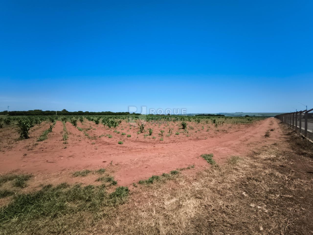 Área à venda no bairro Ribeirão do Pinhal: 
