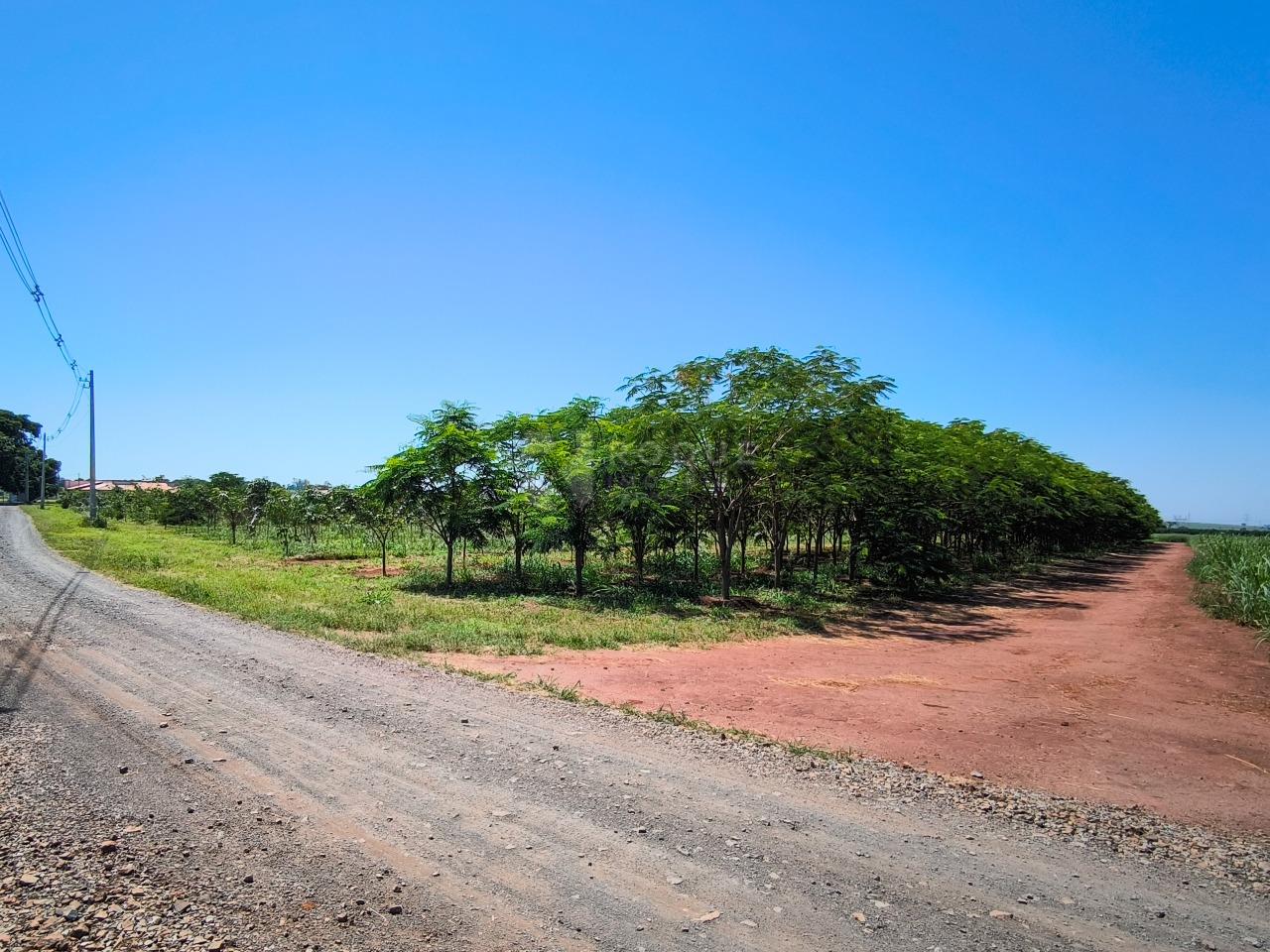 Área à venda no bairro Ribeirão do Pinhal: 