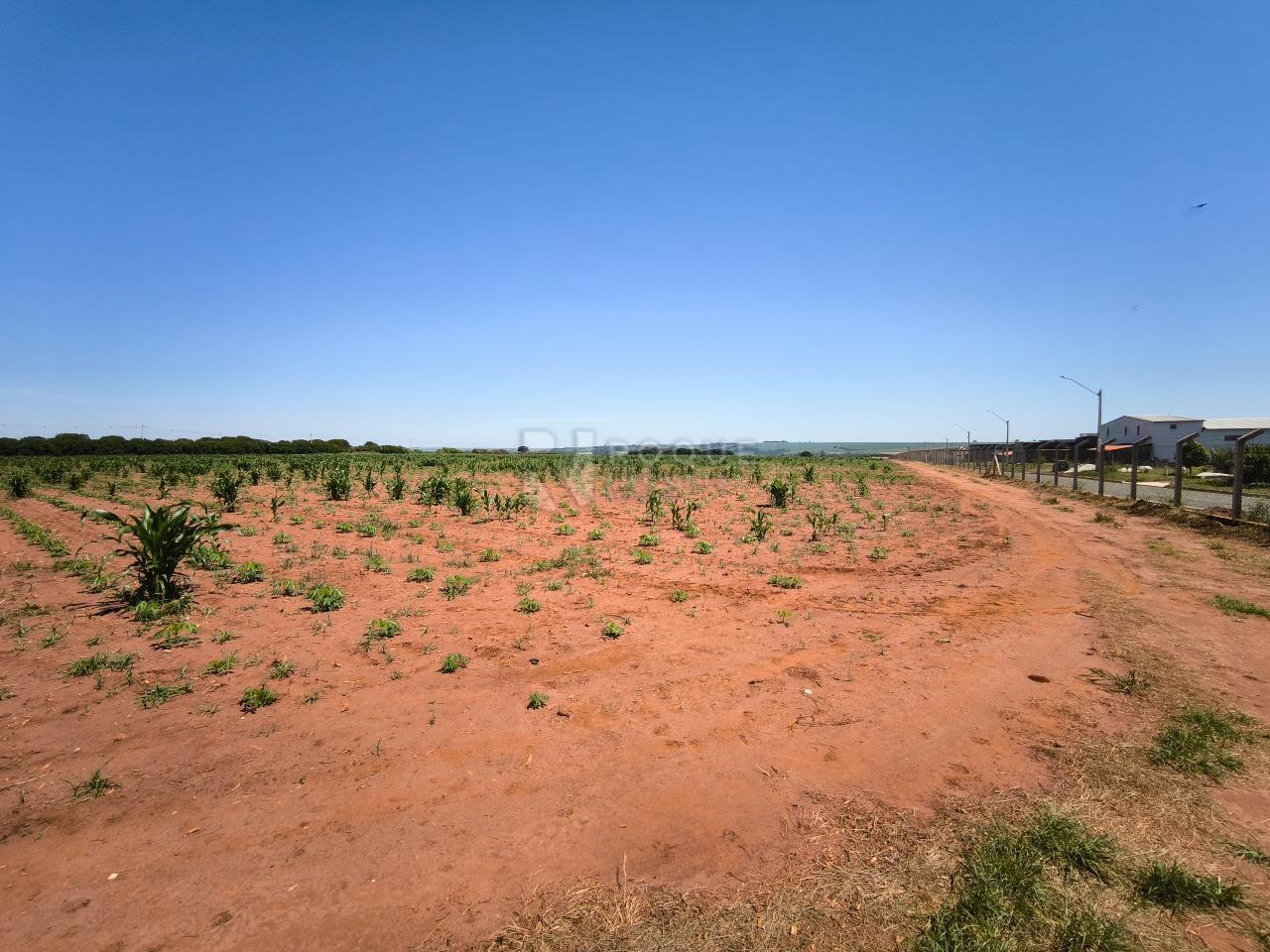 Área à venda no bairro Ribeirão do Pinhal: 