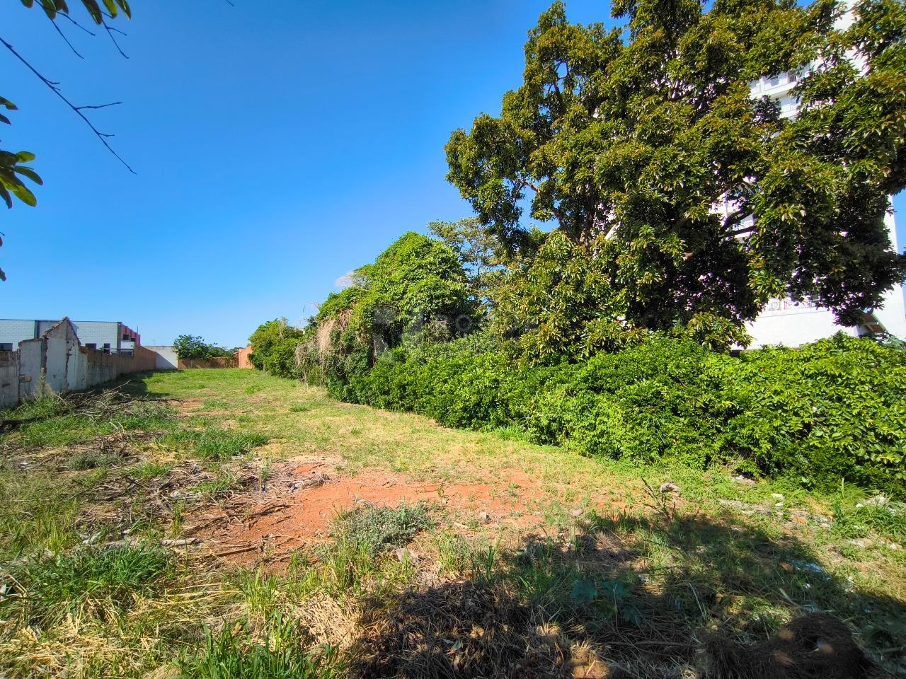 Terreno à venda no bairro Chácaras Antonieta: 