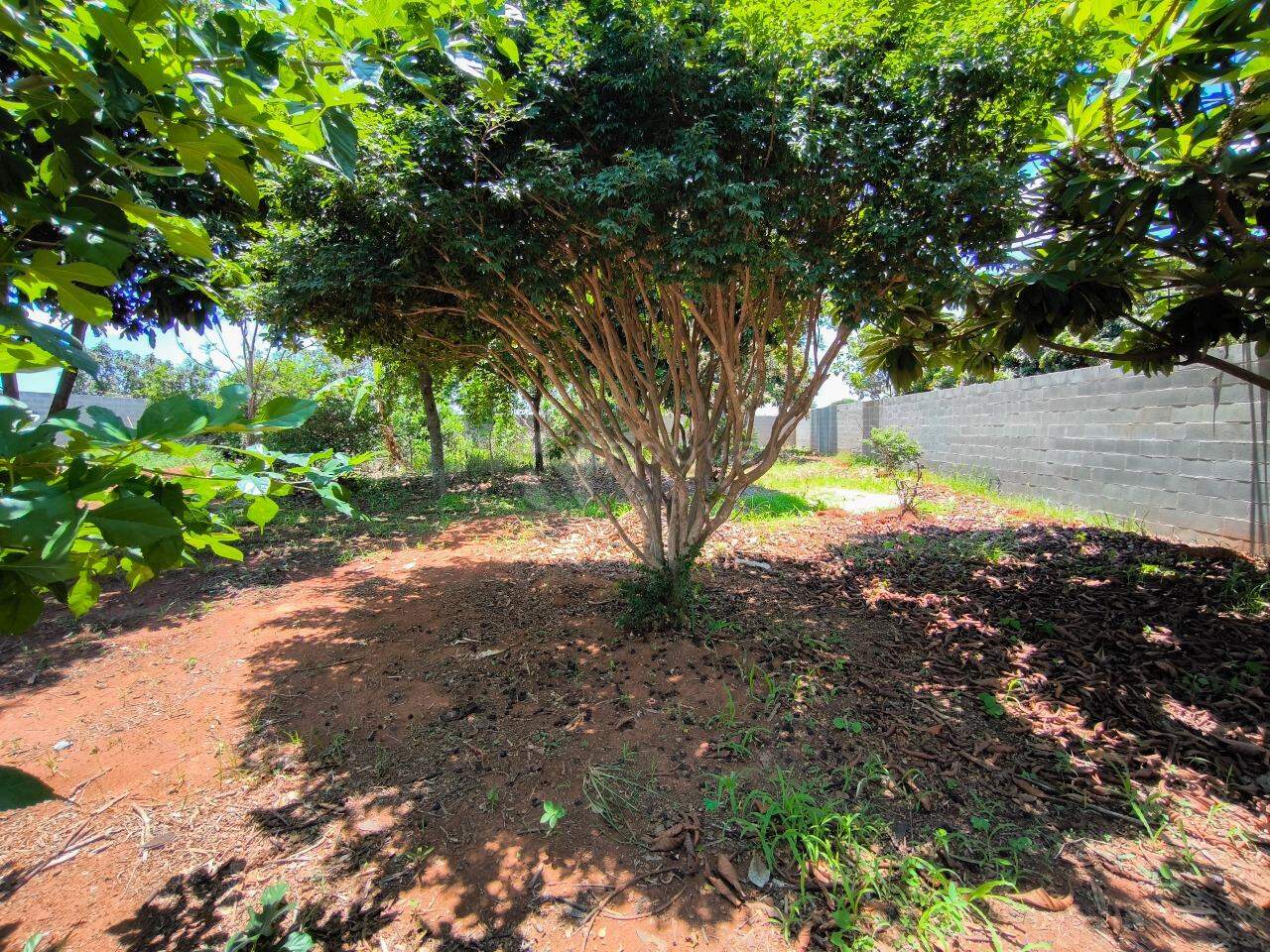 Chácara à venda no bairro Pires de Cima: