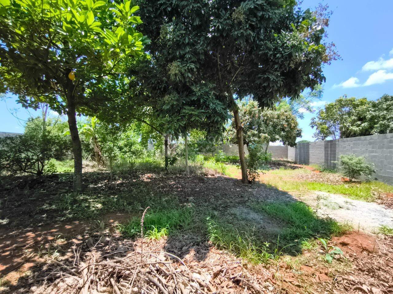 Chácara à venda no bairro Pires de Cima: