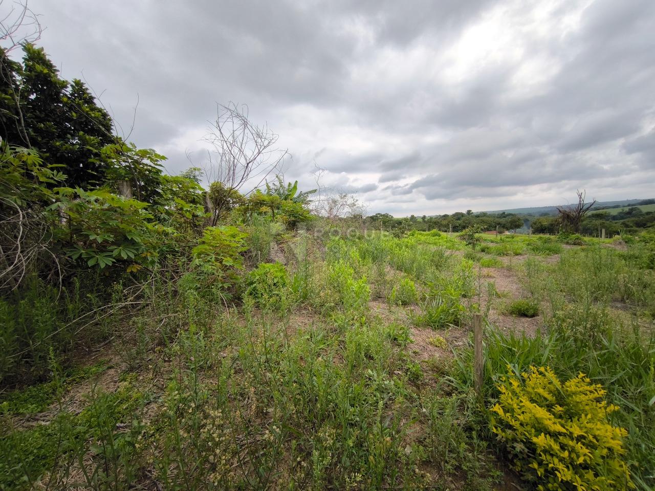 Terreno à venda no bairro Área Rural de Limeira: 