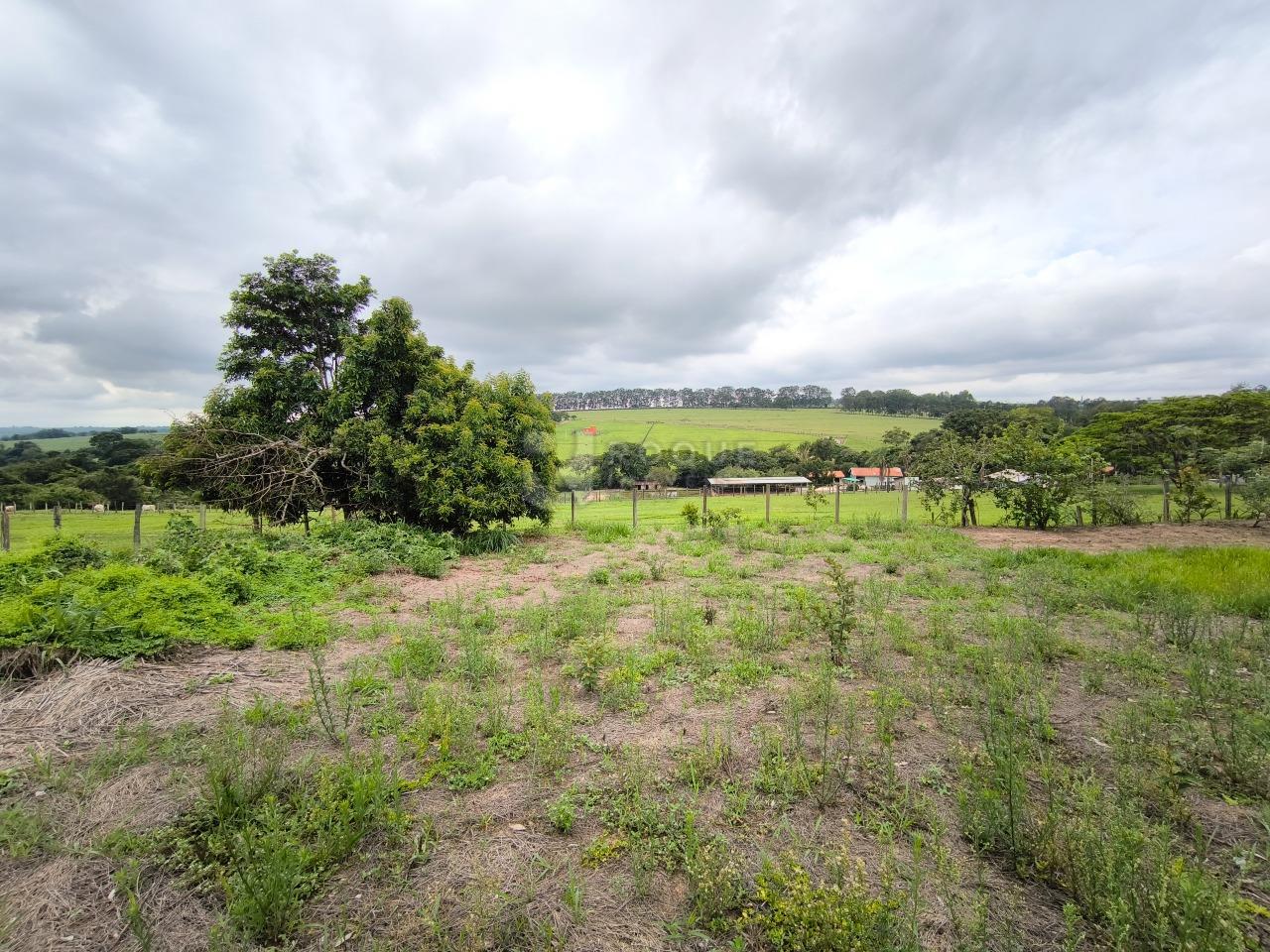 Terreno à venda no bairro Área Rural de Limeira: 