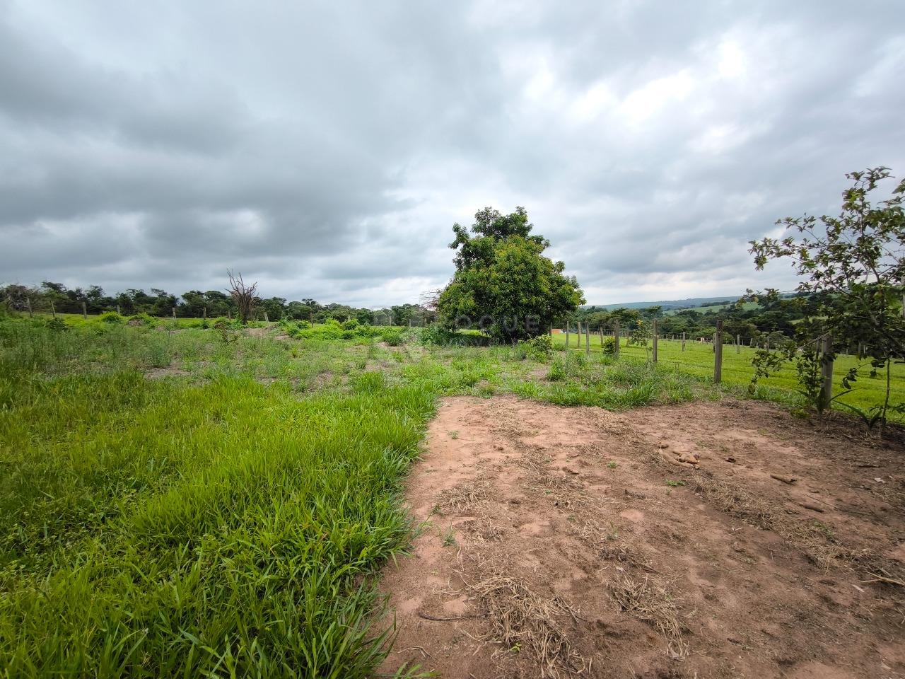 Terreno à venda no bairro Área Rural de Limeira: 