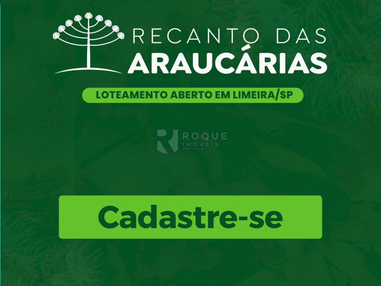 Terreno à venda no bairro Recanto das Araucárias: 