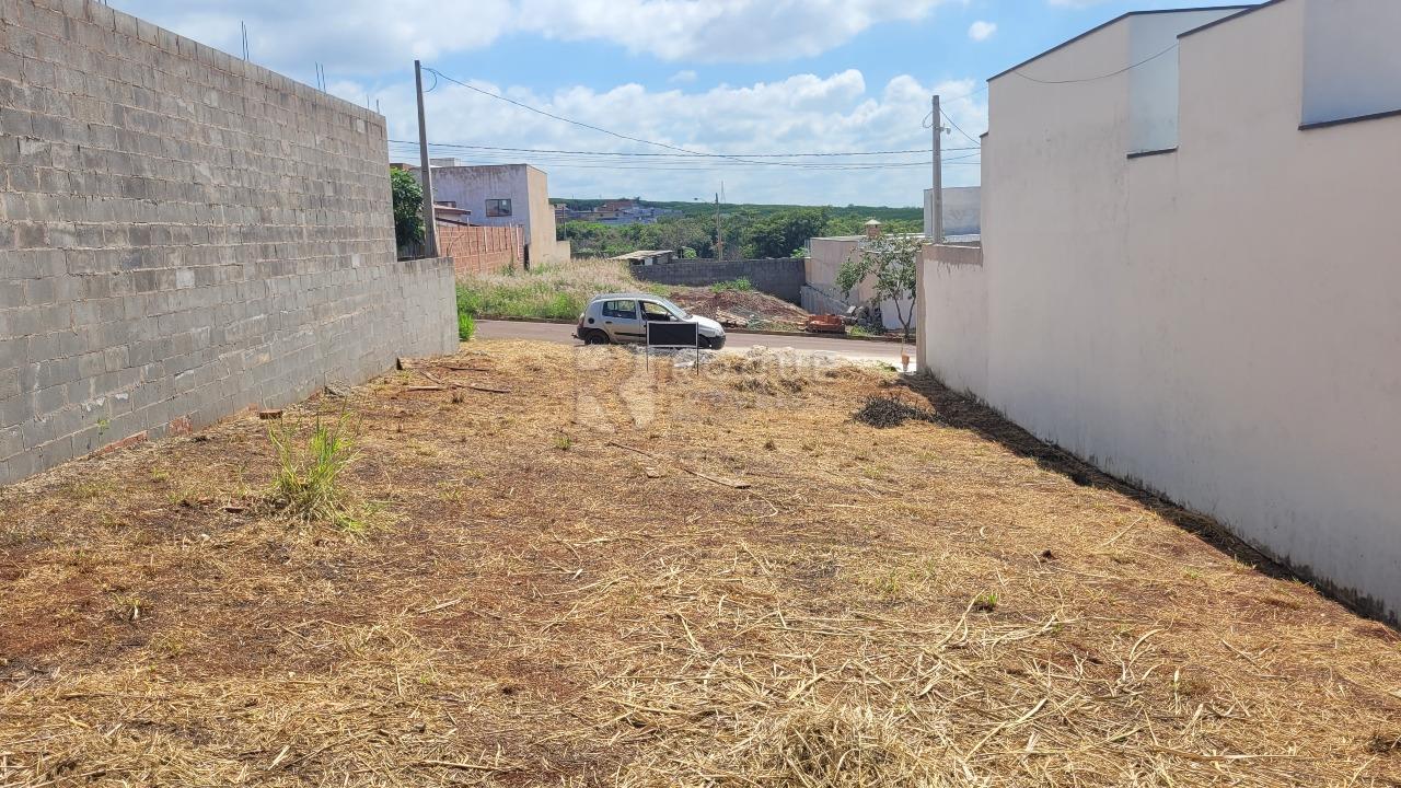 Terreno à venda no bairro Residencial Colinas do Engenho I: 