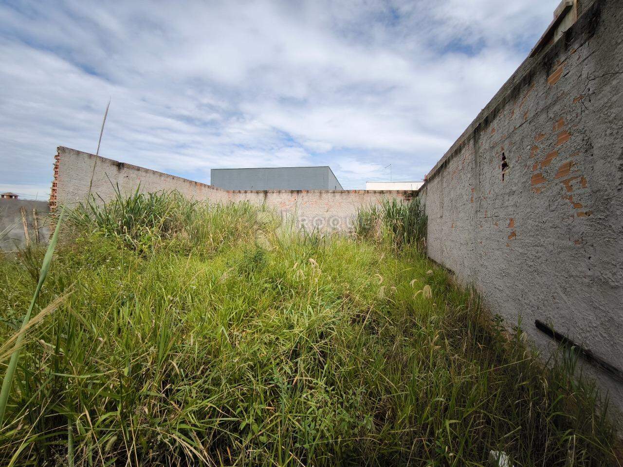 Terreno à venda no bairro Jardim Marajoara: 