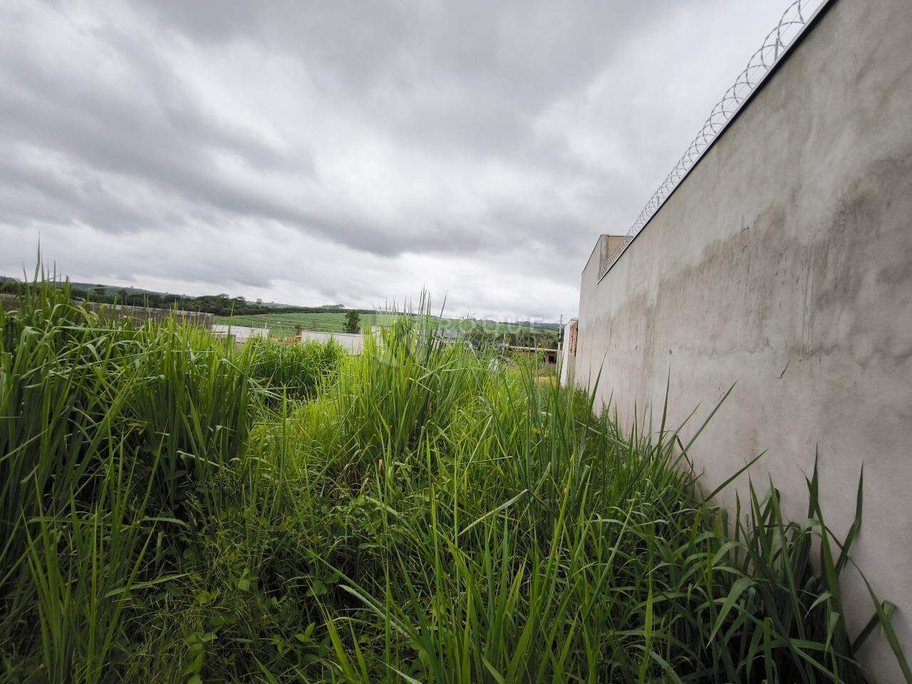 Terreno à venda no bairro Jardim Marajoara: 