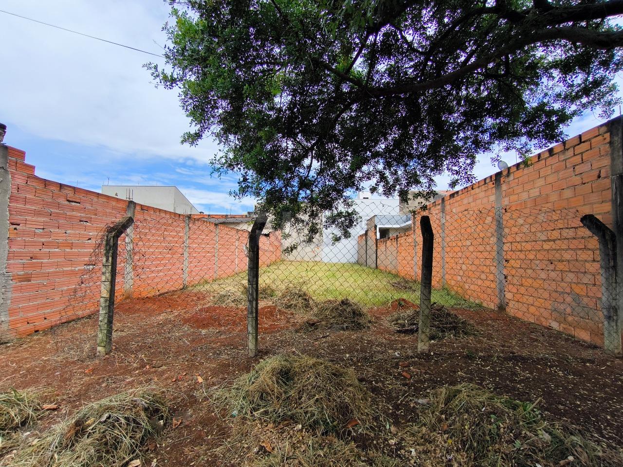 Terreno à venda no bairro Parque Pompeu: 