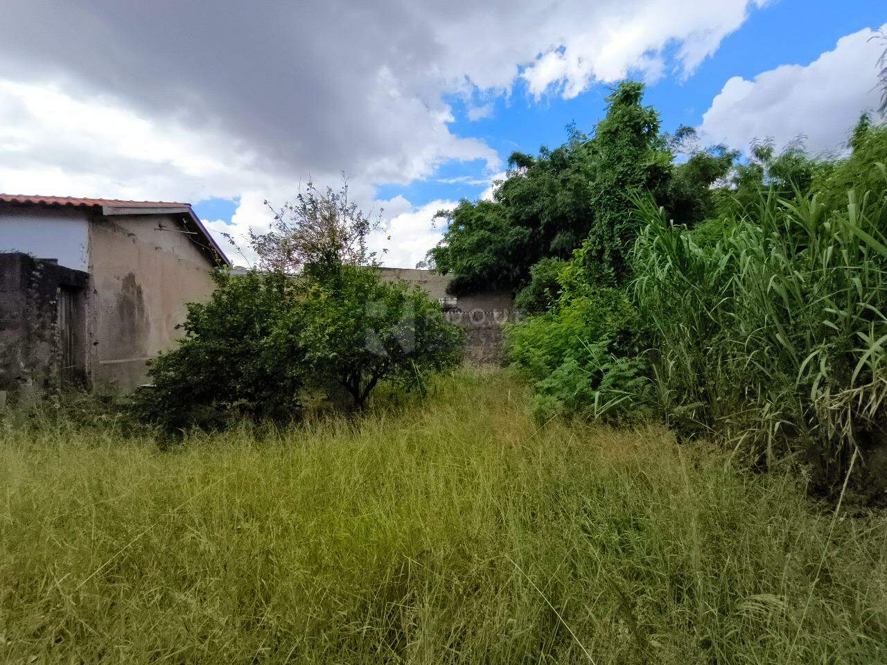 Casa Residencial à venda no bairro Vila Queiroz: TERRENO
