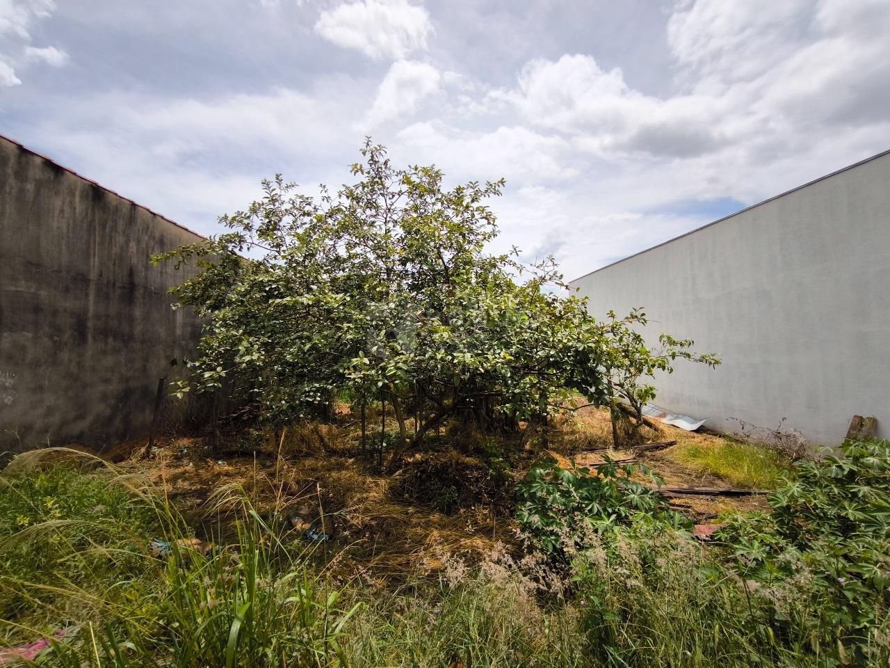 Terreno à venda no bairro Jardim Residencial Village: 