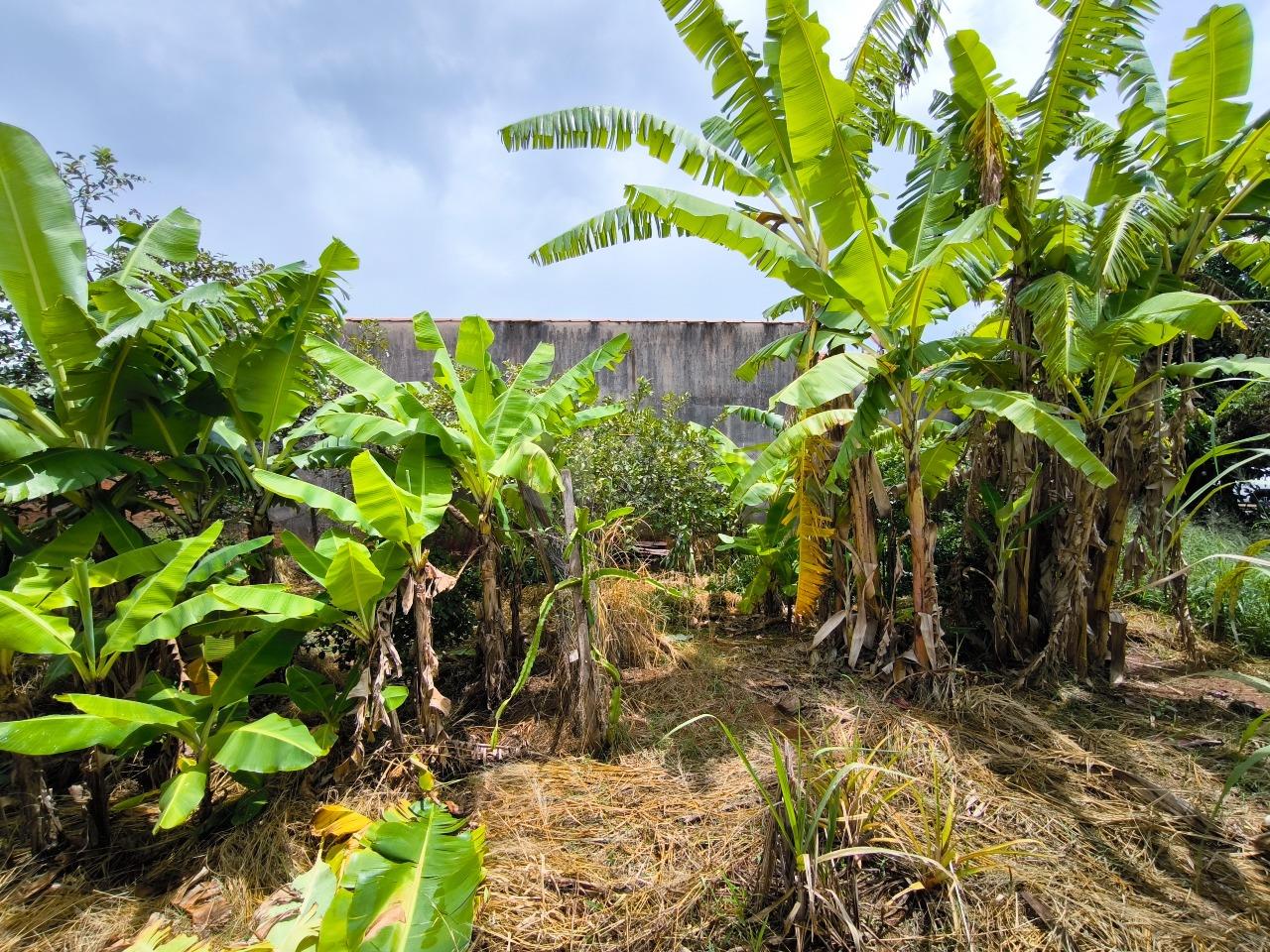Terreno à venda no bairro Jardim Residencial Village: 