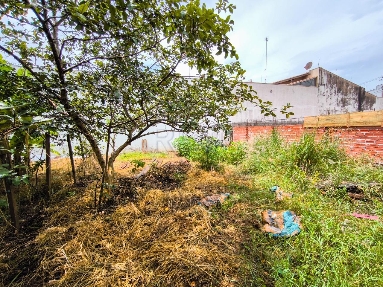 Terreno à venda no bairro Jardim Residencial Village: 