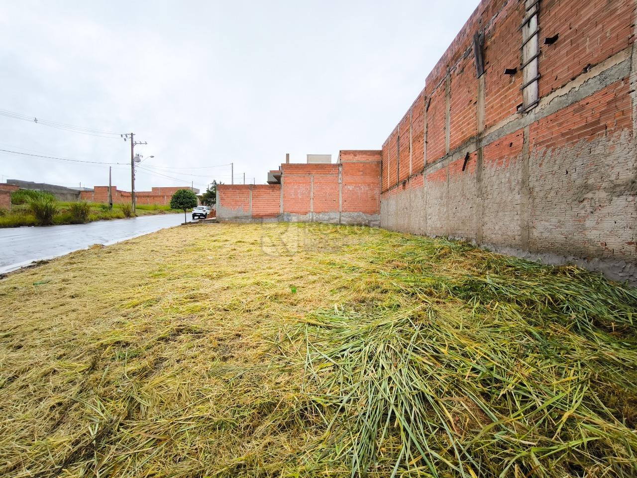 Terreno à venda no bairro Jardim Marajoara: 