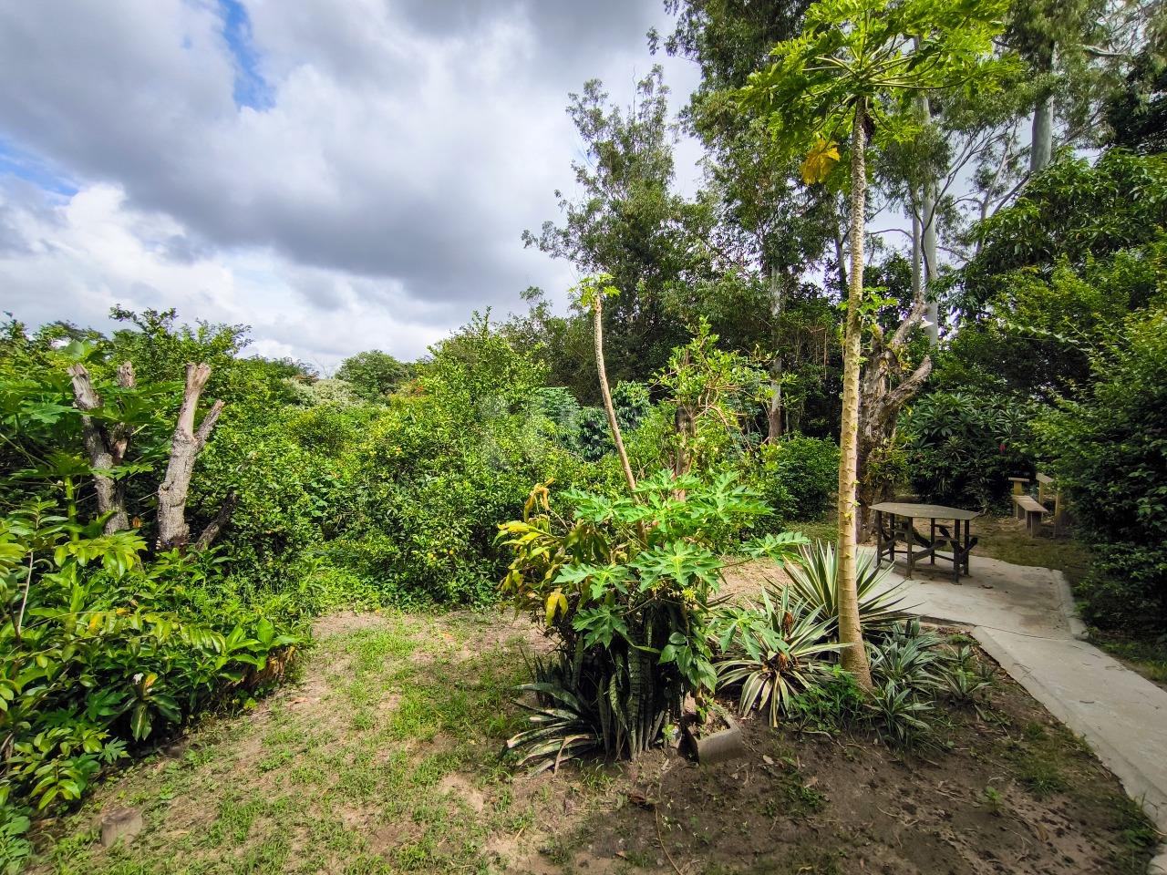 Chácara à venda no bairro Bairro dos Pereiras: BOSQUE