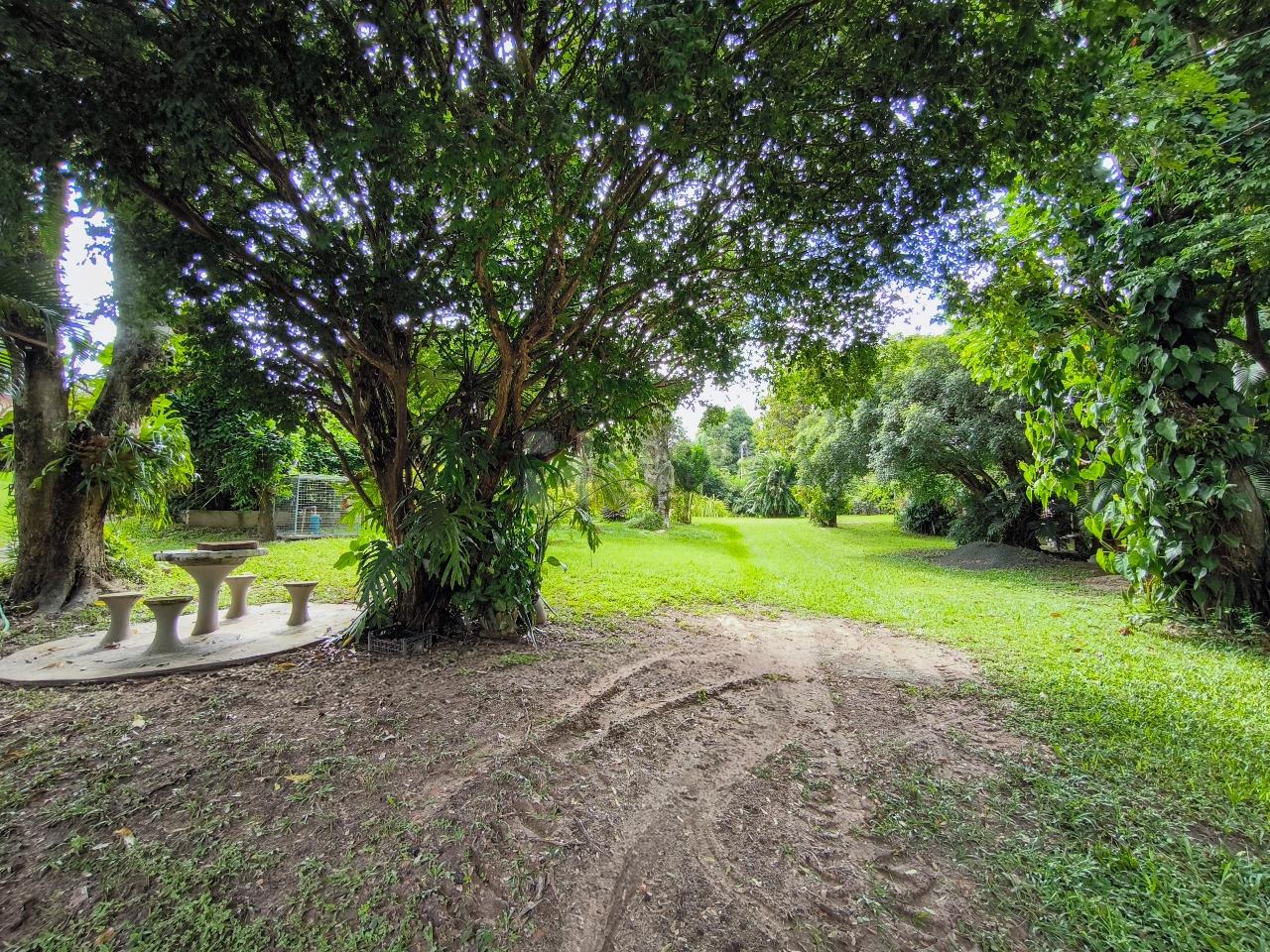 Chácara à venda no bairro Bairro dos Pereiras: BOSQUE