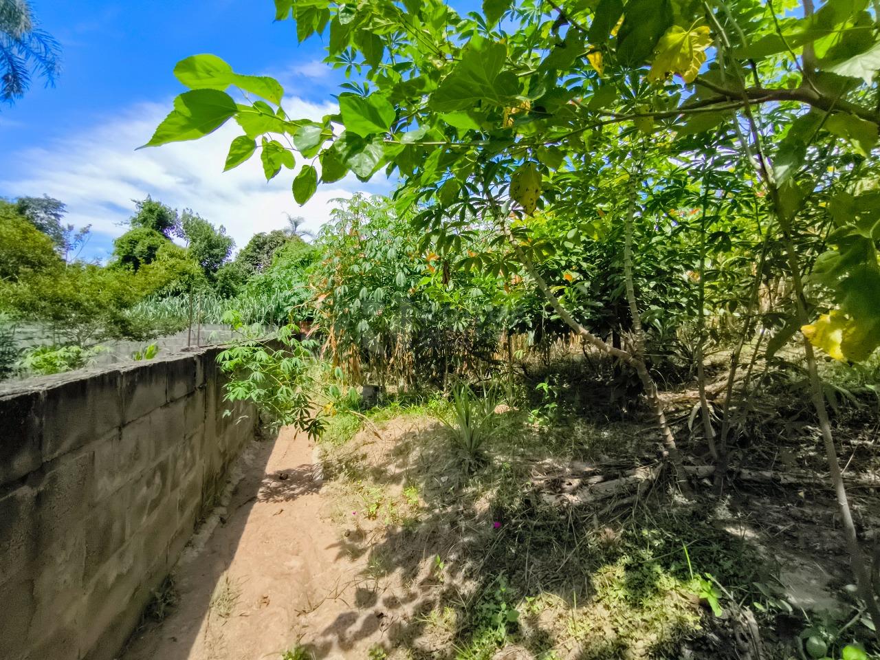 Chácara à venda no bairro Bairro dos Pires: ÁREA VERDE