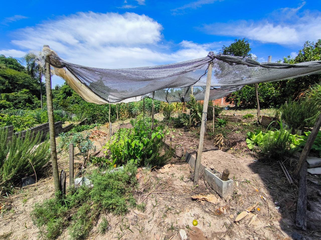 Chácara à venda no bairro Bairro dos Pires: ÁREA VERDE