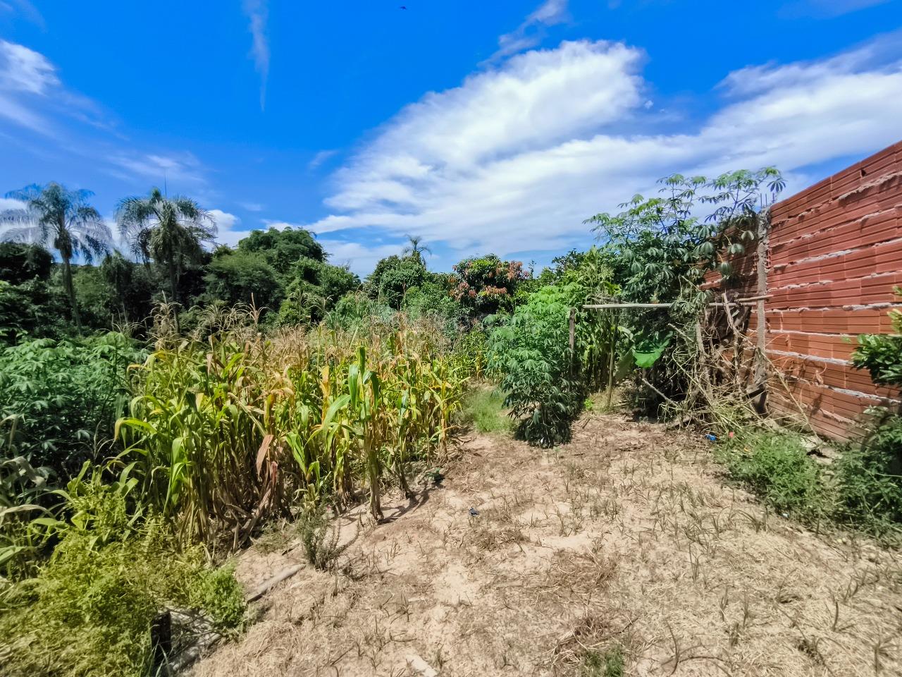 Chácara à venda no bairro Bairro dos Pires: ÁREA VERDE