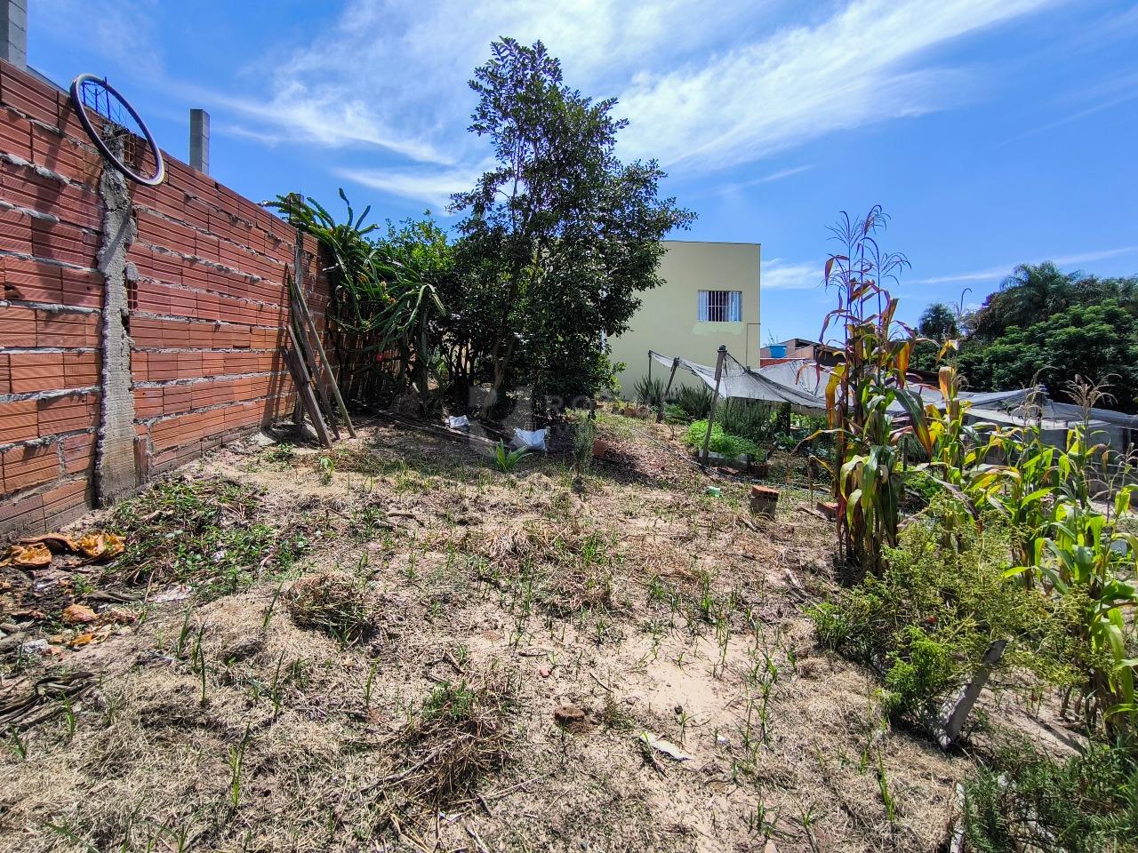 Chácara à venda no bairro Bairro dos Pires: ÁREA VERDE
