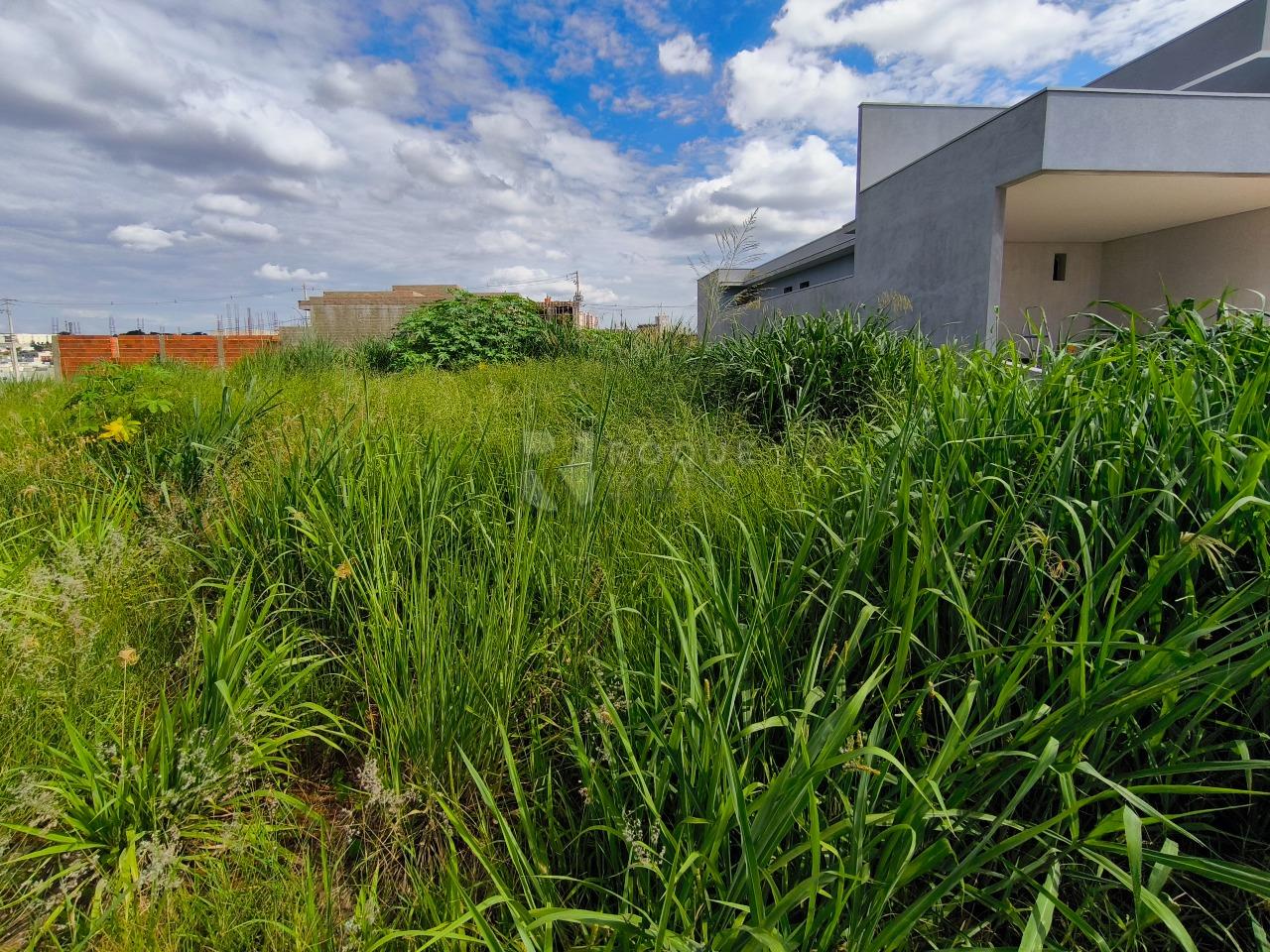 Terreno em condomínio à venda no bairro Jardim Cidade Universitária II: 