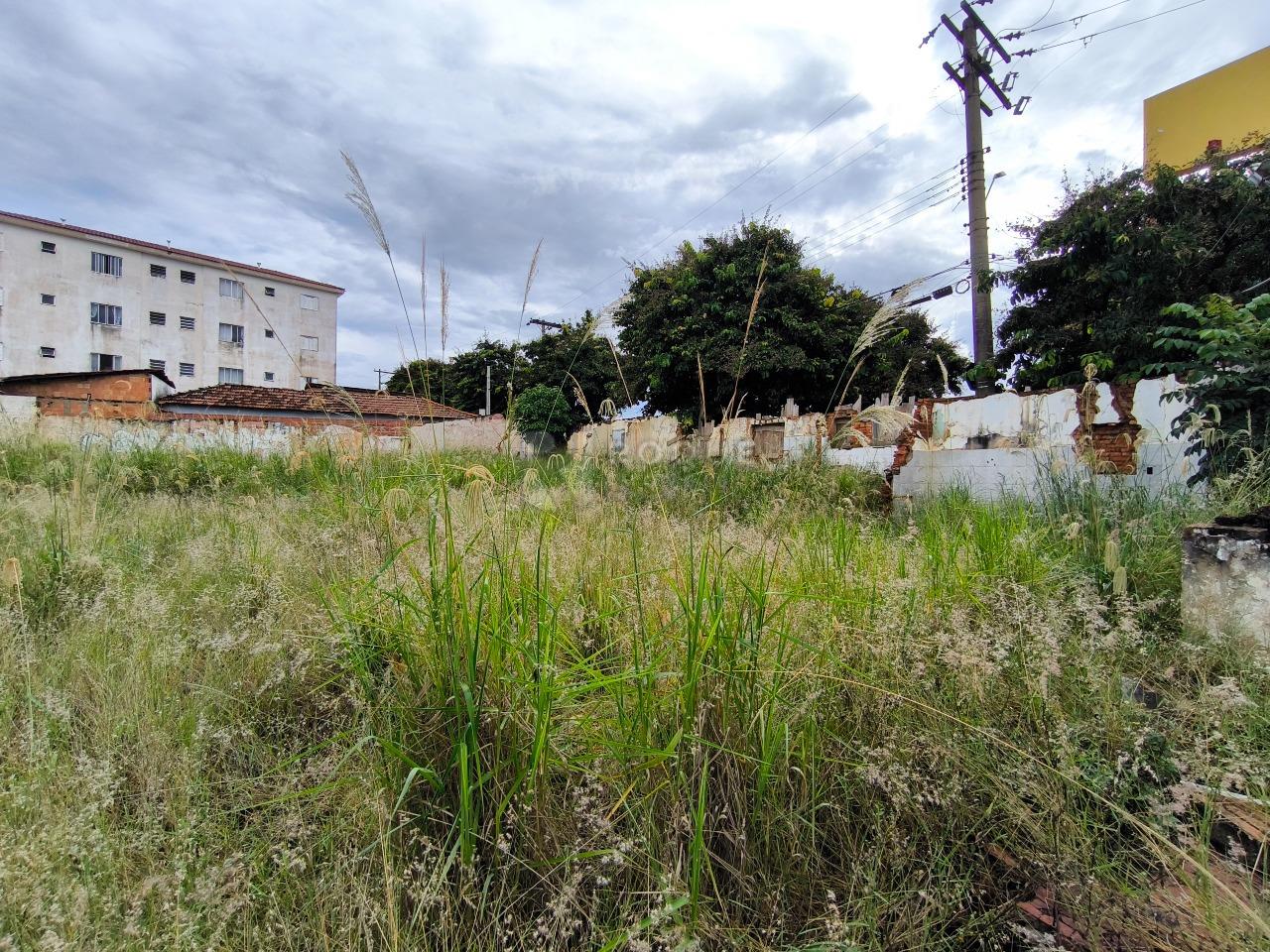 Terreno à venda no bairro Cidade Jardim: 
