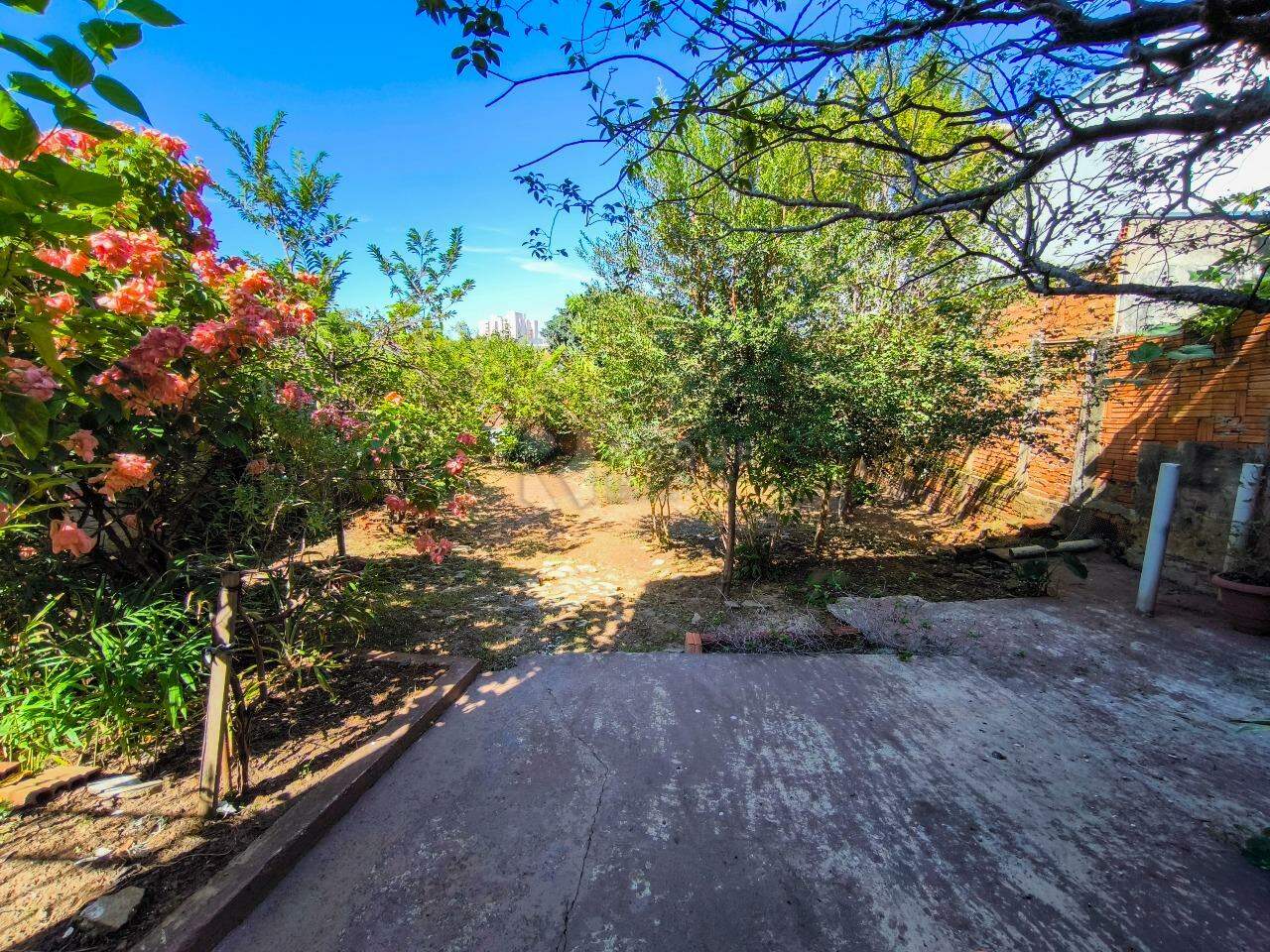 Casa Residencial à venda no bairro Vila Teixeira Marques: QUINTAL