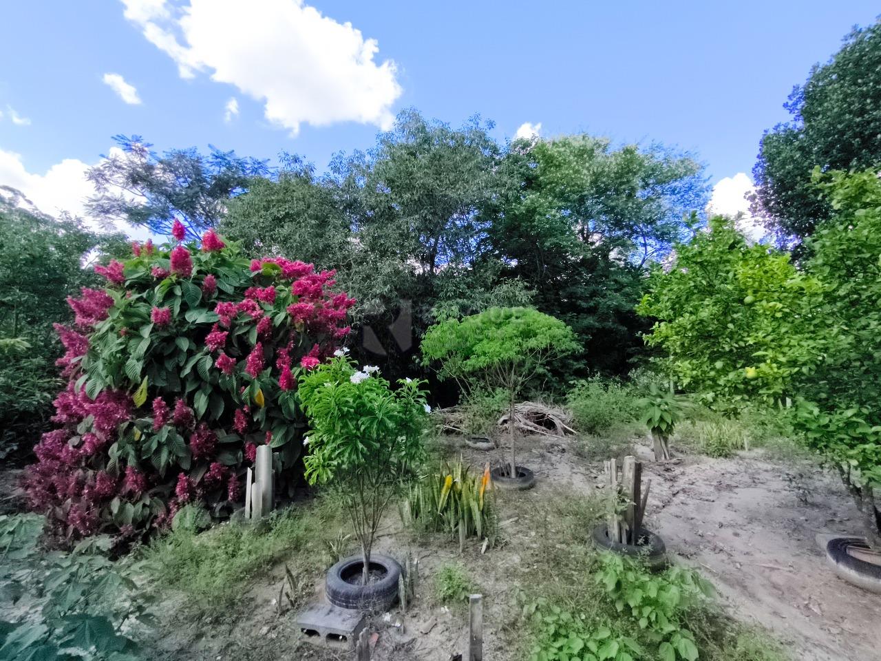 Chácara à venda no bairro Lagoa Nova: POMAR