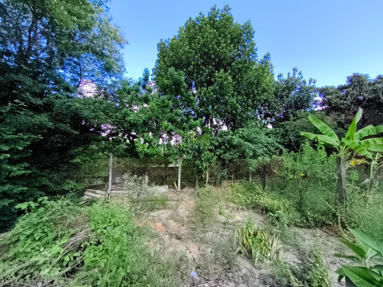 Chácara à venda no bairro Lagoa Nova: POMAR