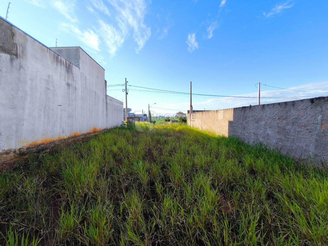 Terreno à venda no bairro Jardim Marajoara: 