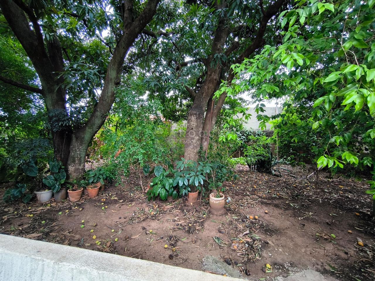 Casa Residencial para aluguel no bairro Jardim Morro Branco: ÁREA VERDE