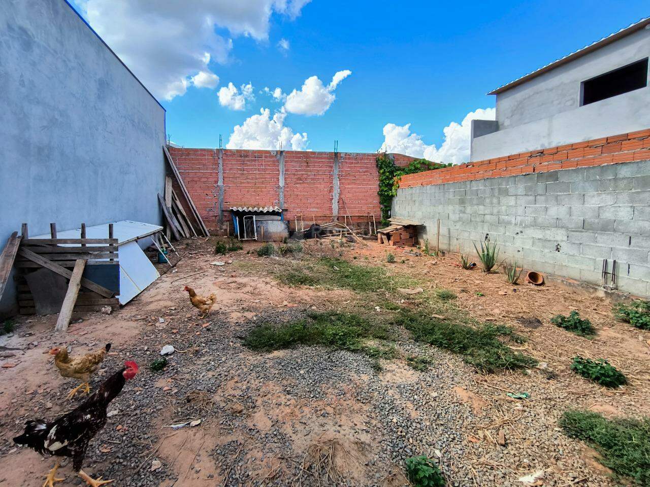 Casa Residencial à venda no bairro Jardim Primavera: QUINTAL