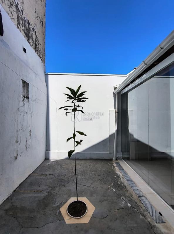 Casa Residencial para aluguel no bairro Centro: Jardim de inverno 