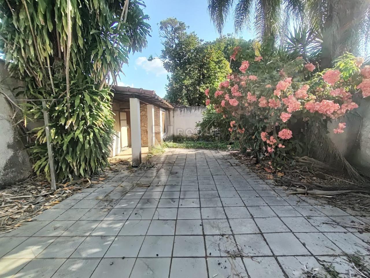 Casa Comercial para aluguel no bairro Vila Primavera: Quintal