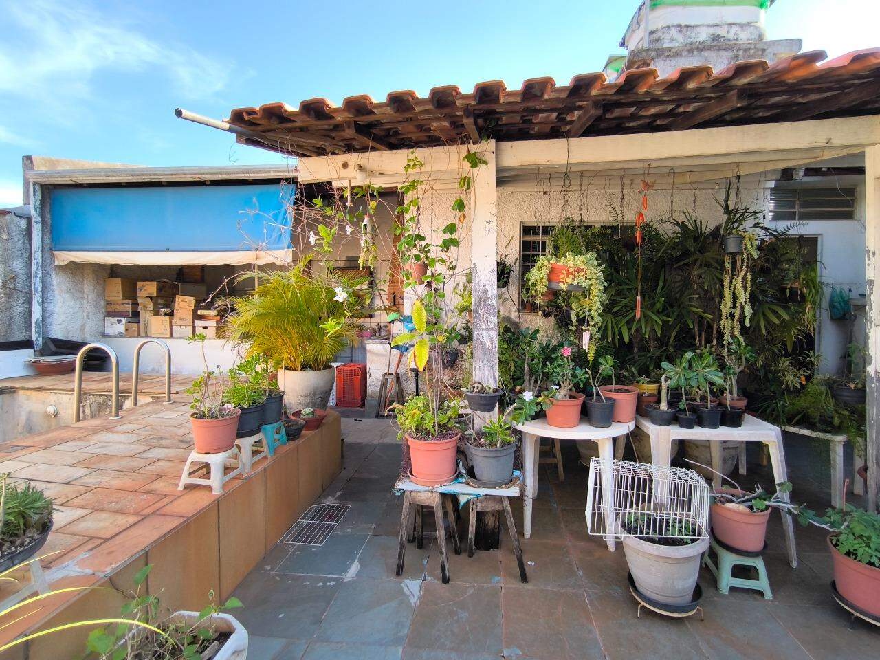 Casa Residencial à venda no bairro Boa Vista: RANCHO