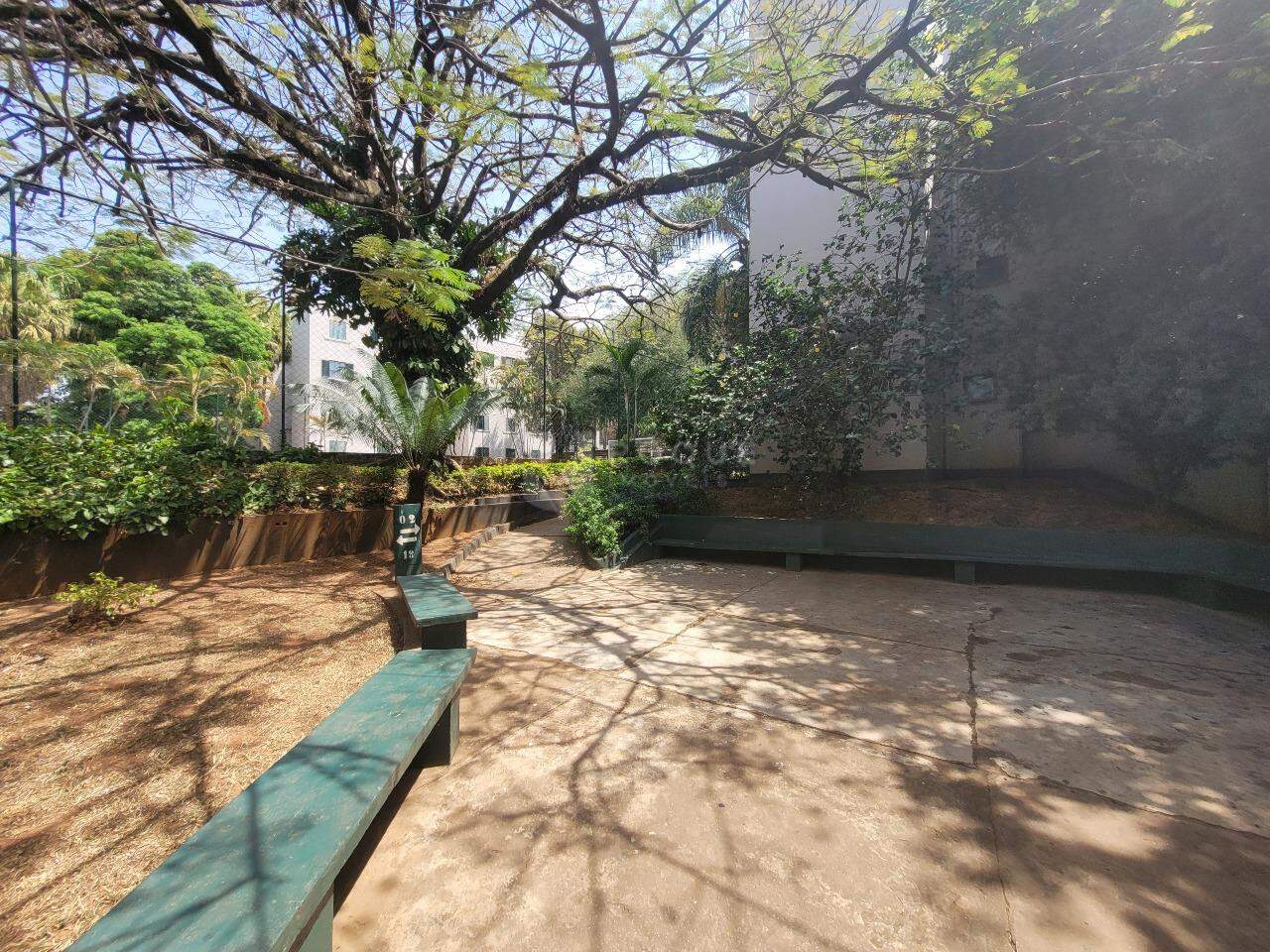 Apartamento para aluguel no bairro Vila Paulista: AREA COMUM