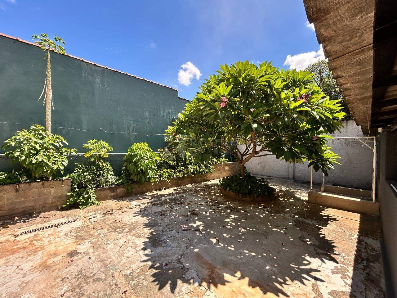 Casa Residencial à venda no bairro Vila São João: Fundo