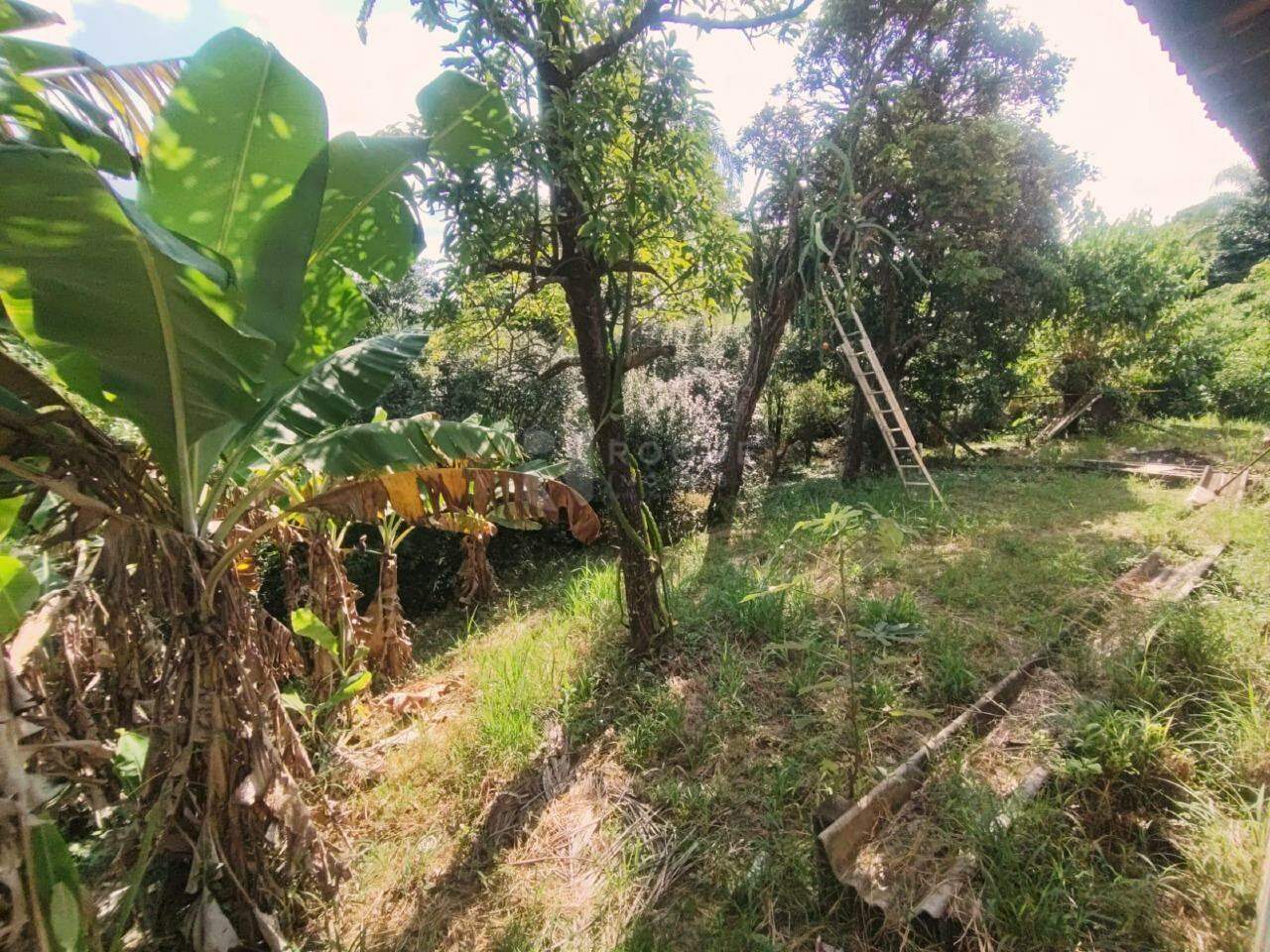 Chácara para aluguel no bairro Bairro dos Frades - Residencial São Miguel: Quintal