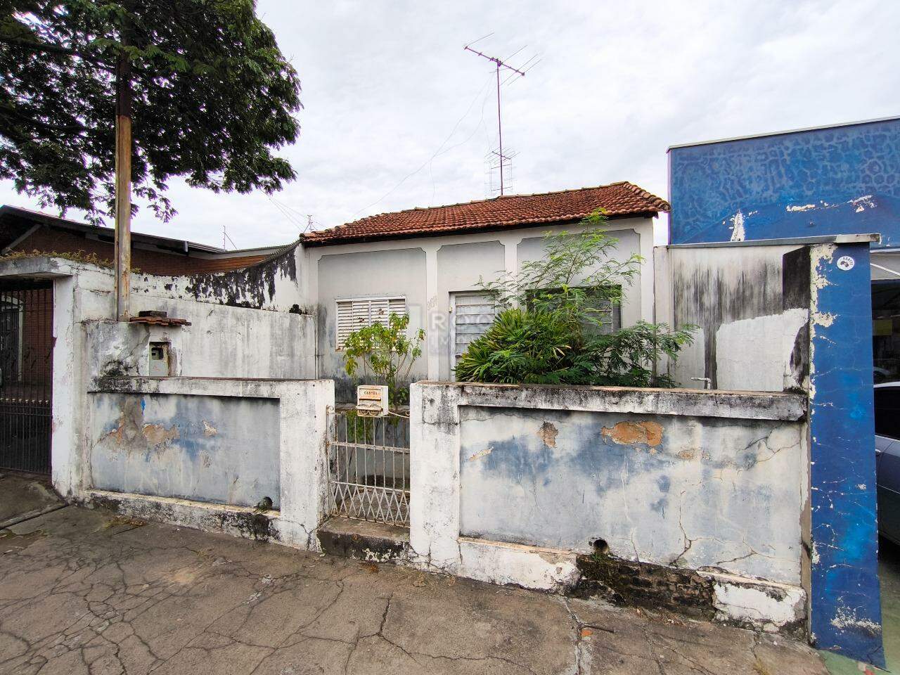 Casa Residencial à venda no bairro Vila Queiroz: 