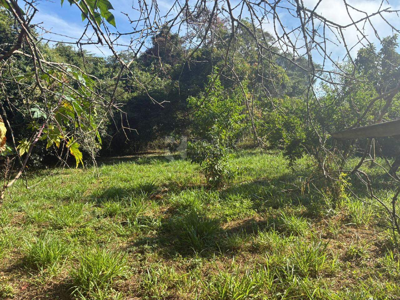 Chácara à venda no bairro Bairro dos Pires: 