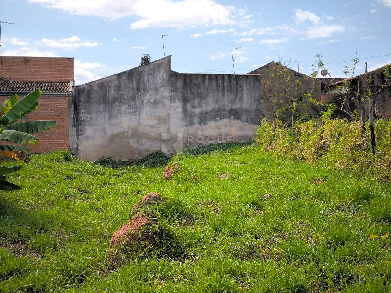 Terreno à venda no bairro Vila Limeiranea: 