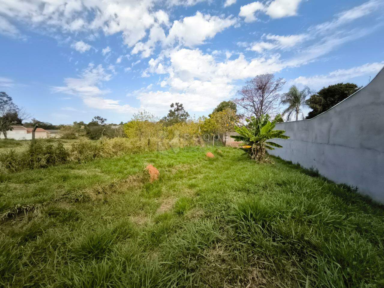 Terreno à venda no bairro Vila Limeiranea: 