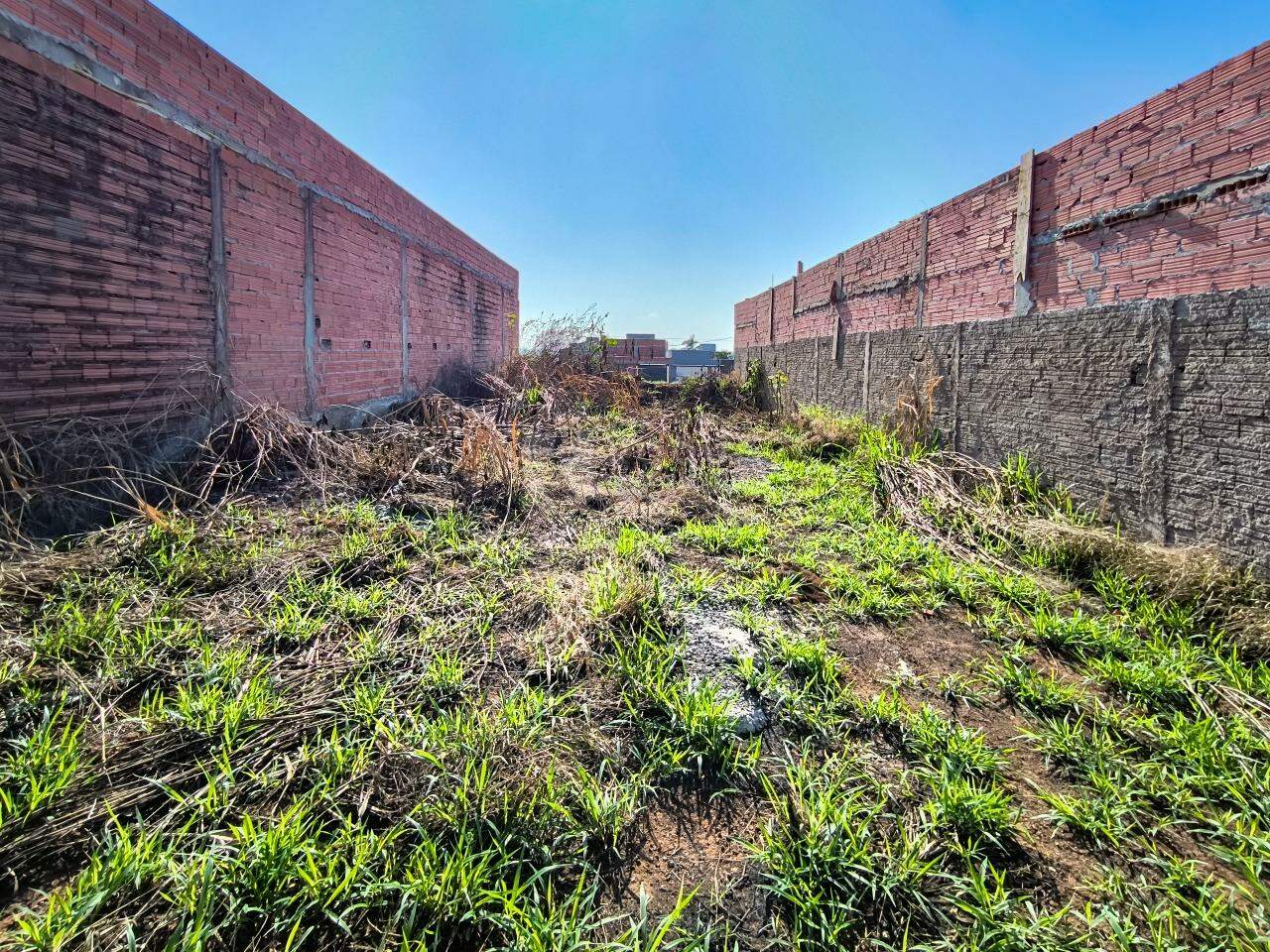 Terreno à venda no bairro Jardim Campo Verde II: 