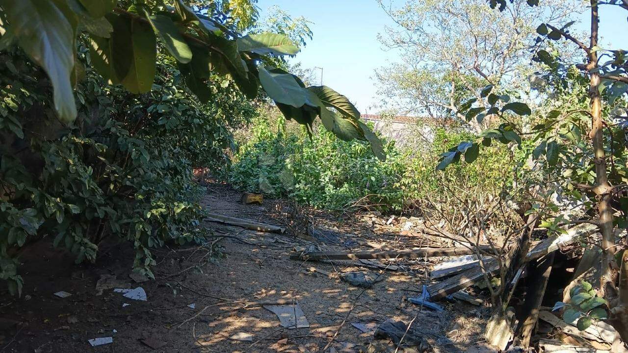 Terreno à venda no bairro Vila Camargo: 